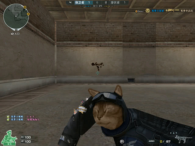 TSM 回归本源，计划组建北美阵容